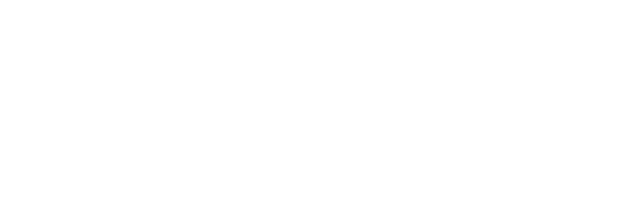 機能性表示食品 機能性関与成分 エラグ酸【届出番号:J646】 nini 熟成発酵ザクロペースト30包入り