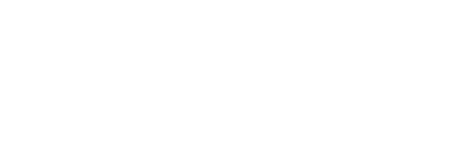 機能性表示食品  機能性関与成分 エラグ酸【届出番号：J646】  nini 熟成発酵ザクロペースト30包入り