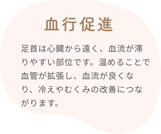 血行促進  足首は心臓から遠く、血流が滞りやすい部位です。温めることで血管が拡張し、血流が良くなり、冷えやむくみの改善につながります。