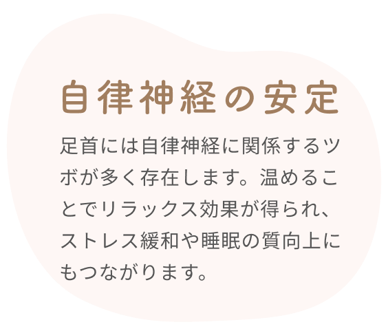 自律神経の安定  足首には自律神経に関係するツボが多く存在します。温めることでリラックス効果が得られ、ストレス緩和や睡眠の質向上にもつながります。