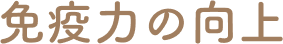 免疫力の向上