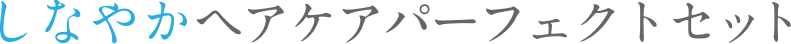しなやかヘアケアパーフェクトセット