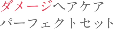ダメージヘアケアパーフェクトセット