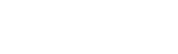 Q&A