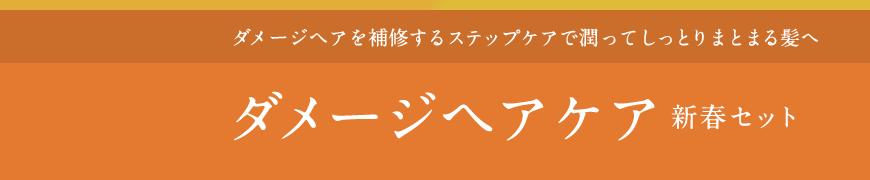 ダメージヘアを補修するステップケアで潤ってしっとりまとまる髪へ  ダメージヘアケア新春セット