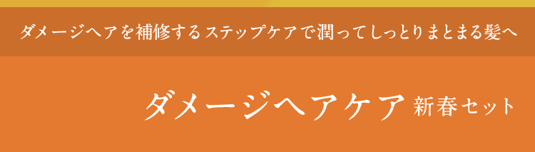 ダメージヘアを補修するステップケアで潤ってしっとりまとまる髪へ  ダメージヘアケア新春セット