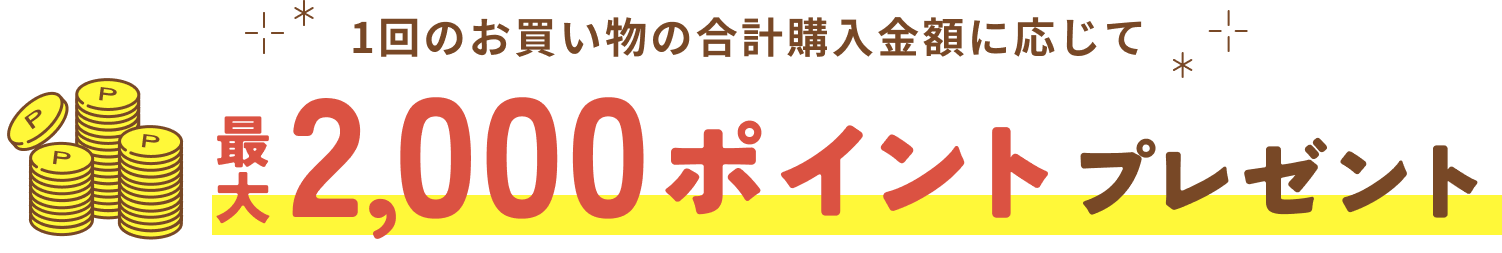 1回のお買い物の合計購入金額に応じて  最大2,000ポイントプレゼント