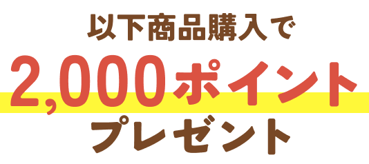 以下商品購入で2,000ポイントプレゼント!