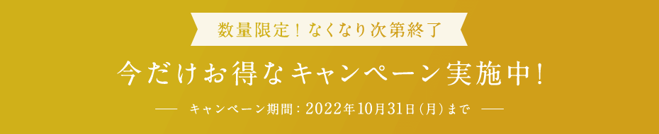 セット購入がお得です！