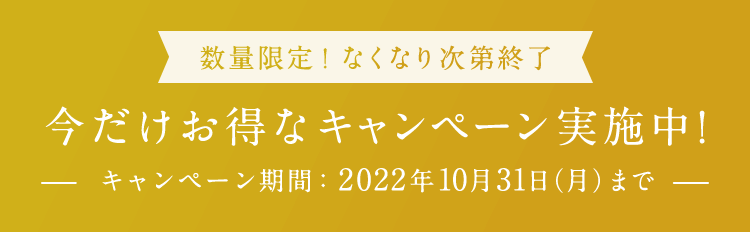 セット購入がお得です！