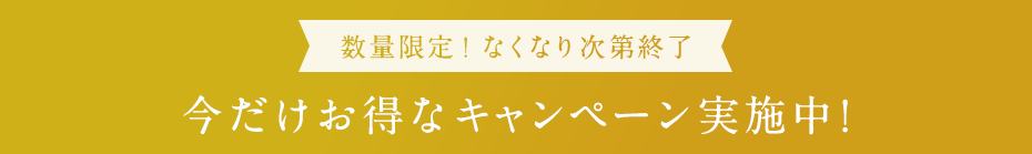 数量限定！なくなり次第終了  今だけお得なキャンペーン実施中！
