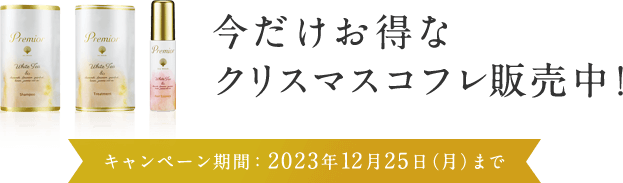 今だけお得なクリスマスコフレ販売中！  キャンペーン期間：2023年12月25日（月）まで