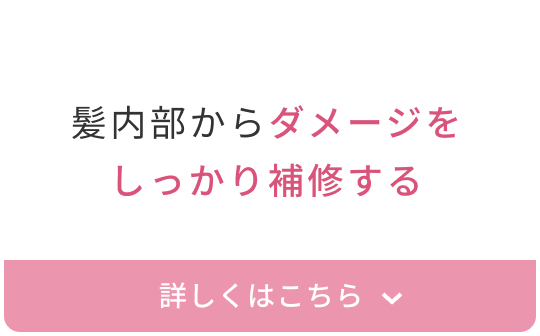 髪内部からダメージをしっかり補修する  詳しくはこちら