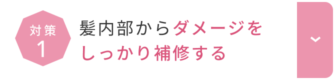 髪内部からダメージをしっかり補修する  詳しくはこちら
