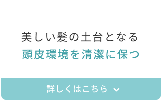 美しい髪の土台となる頭皮環境を清潔に保つ  詳しくはこちら