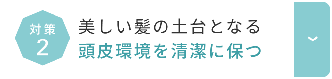 美しい髪の土台となる頭皮環境を清潔に保つ  詳しくはこちら