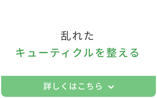 乱れたキューティクルを整える  詳しくはこちら