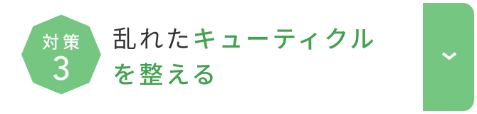 乱れたキューティクルを整える  詳しくはこちら