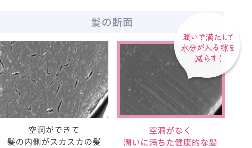 髪の断面  潤いで満たして水分が入る隙を減らす!  空洞ができて髪の内側がスカスカの髪  空洞がなく潤いに満ちた健康的な髪