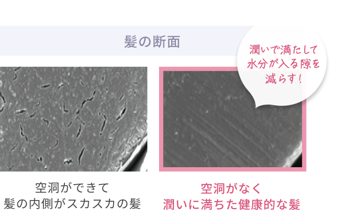 髪の断面  潤いで満たして水分が入る隙を減らす!  空洞ができて髪の内側がスカスカの髪  空洞がなく潤いに満ちた健康的な髪