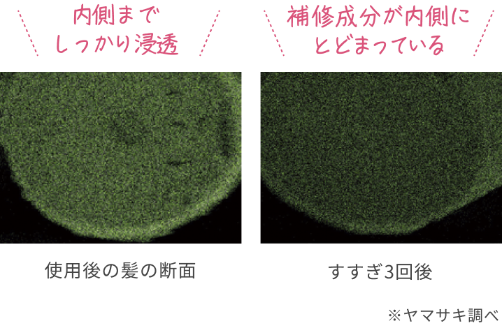 内側までしっかり浸透  補修成分が内側にとどまっている  使用後の髪の断面  すすぎ3回後  ※ヤマサキ調べ