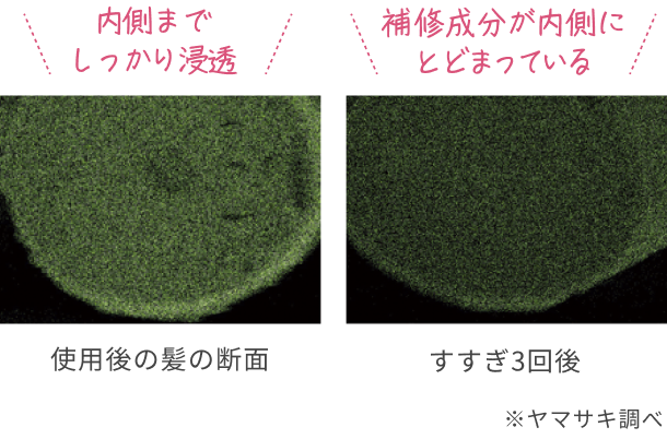 内側までしっかり浸透  補修成分が内側にとどまっている  使用後の髪の断面  すすぎ3回後  ※ヤマサキ調べ