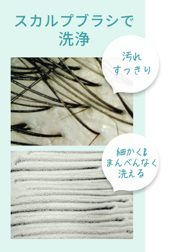 スカルプブラシで洗浄  汚れすっきり  細かく&まんべんなく洗える  ※ヤマサキ調べ