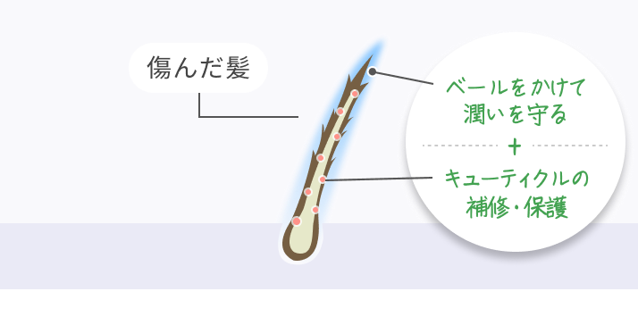 傷んだ髪  ベールをかけて潤いを守る + キューティクルの補修・保護