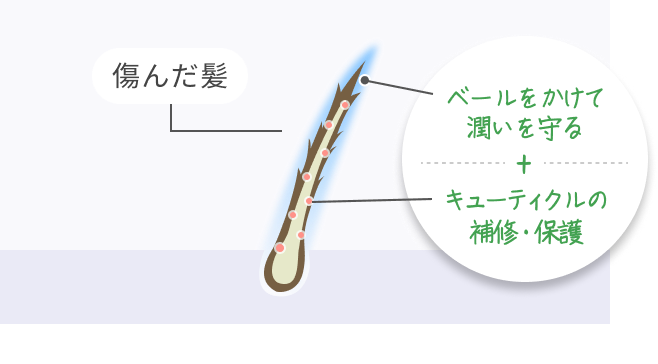 傷んだ髪  ベールをかけて潤いを守る + キューティクルの補修・保護