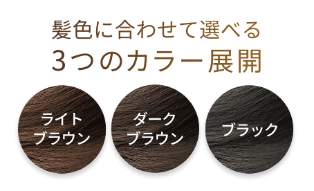 髪色に合わせて選べる 3つのカラー展開 ライトブラウン ダークブラウン ブラック