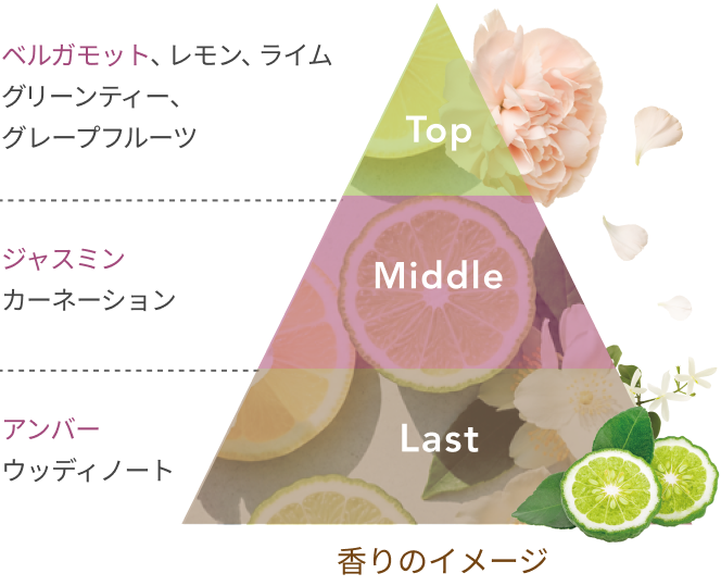 Top ベルガモット、レモン、ライム グリーンティー、グレープフルーツ Middle ジャスミン カーネーション Last アンバー ウッディノート 香りのイメージ