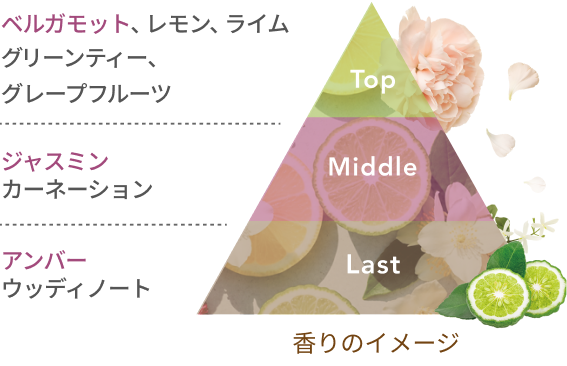 Top ベルガモット、レモン、ライム グリーンティー、グレープフルーツ Middle ジャスミン カーネーション Last アンバー ウッディノート 香りのイメージ