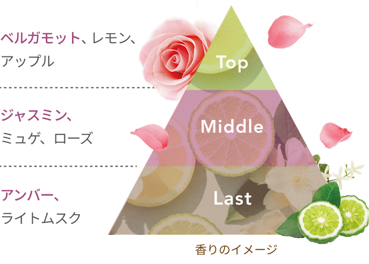 Top ベルガモット、レモン、アップル  Middle ジャスミン、ミュゲ、ローズ  Last アンバー、ライトムスク  香りのイメージ