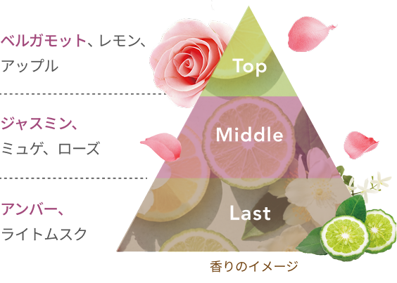 Top ベルガモット、レモン、アップル Middle ジャスミン、ミュゲ、ローズ Last アンバー、ライトムスク 香りのイメージ