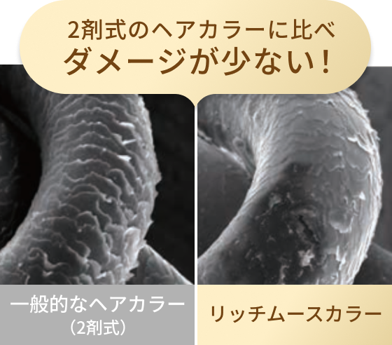2剤式のヘアカラーに比べダメージが少ない！  一般的なヘアカラー  （2剤式）  リッチムースカラー
