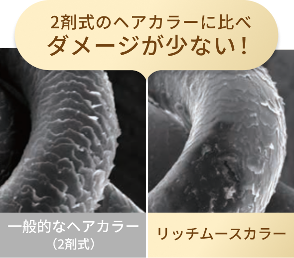 2剤式のヘアカラーに比べダメージが少ない！  一般的なヘアカラー  （2剤式）  リッチムースカラー