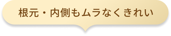根元・内側もムラなくきれい