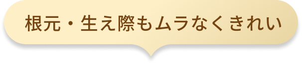 根元・内側もムラなくきれい