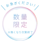 お急ぎください！  数量限定  ※無くなり次第終了