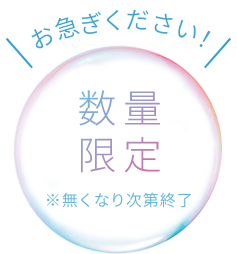 お急ぎください！  数量限定  ※無くなり次第終了