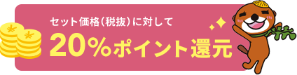 セット価格（税抜）に対して20%ポイント還元