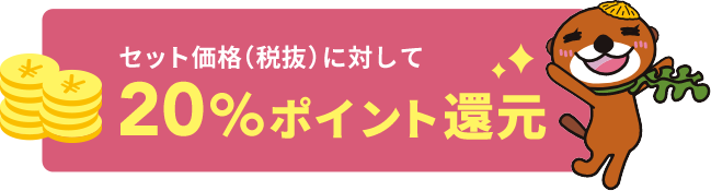 セット価格（税抜）に対して20%ポイント還元