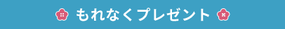 もれなくプレゼント