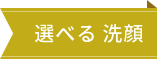 選べる 洗顔料