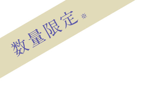 数量限定※