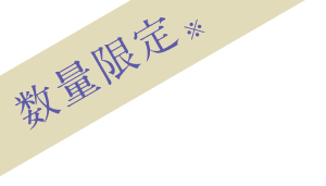 数量限定※