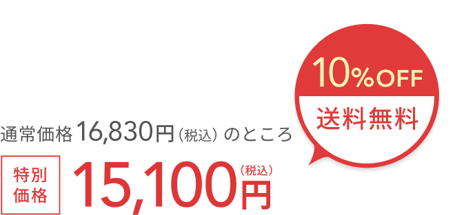 通常価格 14,080円（税込）のところ 10%OFF + 送料無料 特別価格 12,600円