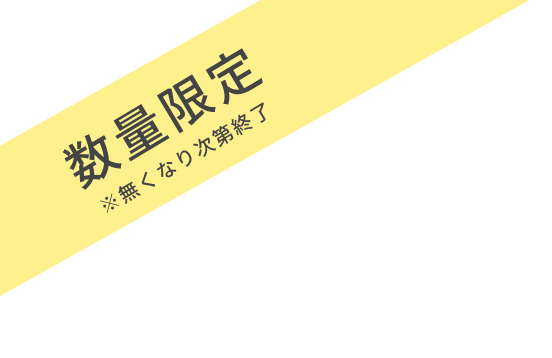 数量限定 ※無くなり次第終了