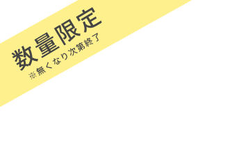 数量限定 ※無くなり次第終了