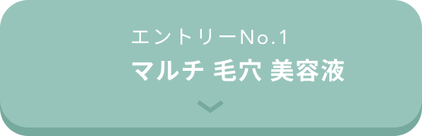 エントリーNo.1  マルチ 毛穴 美容液